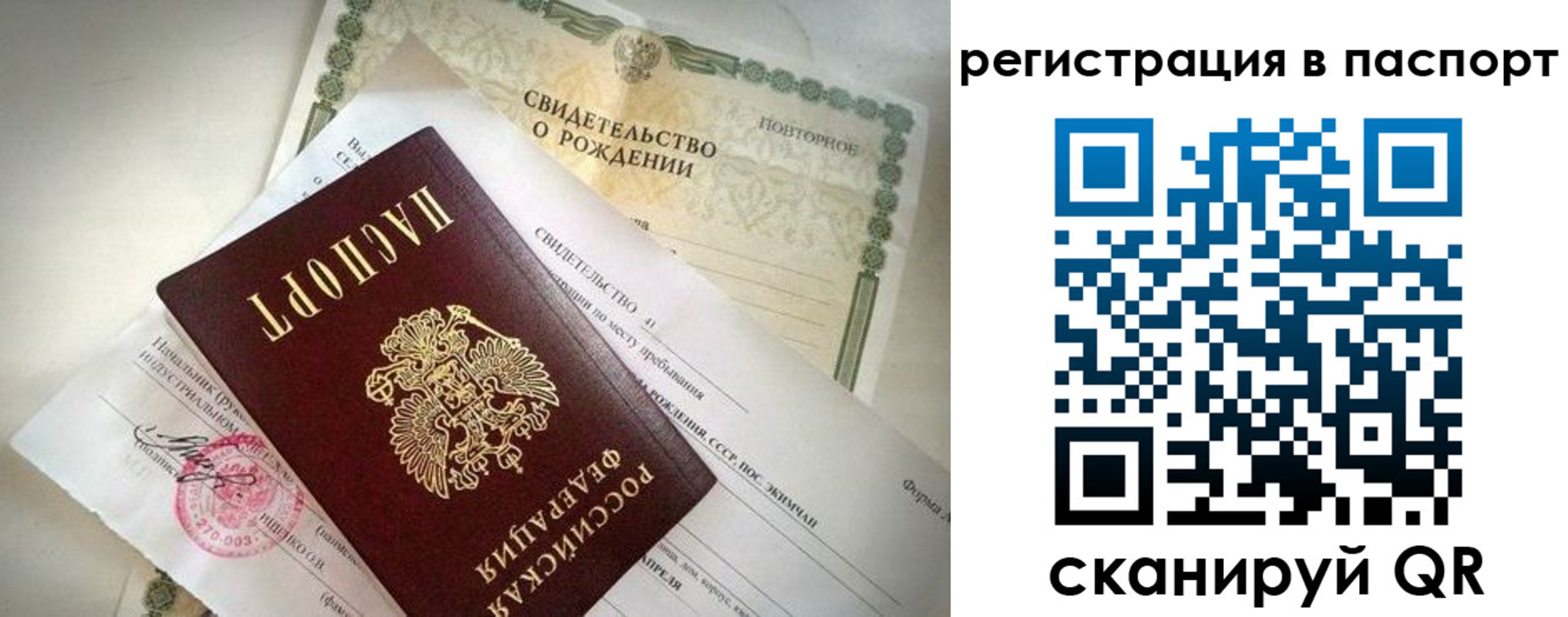 прописка гарантия в Балтийске